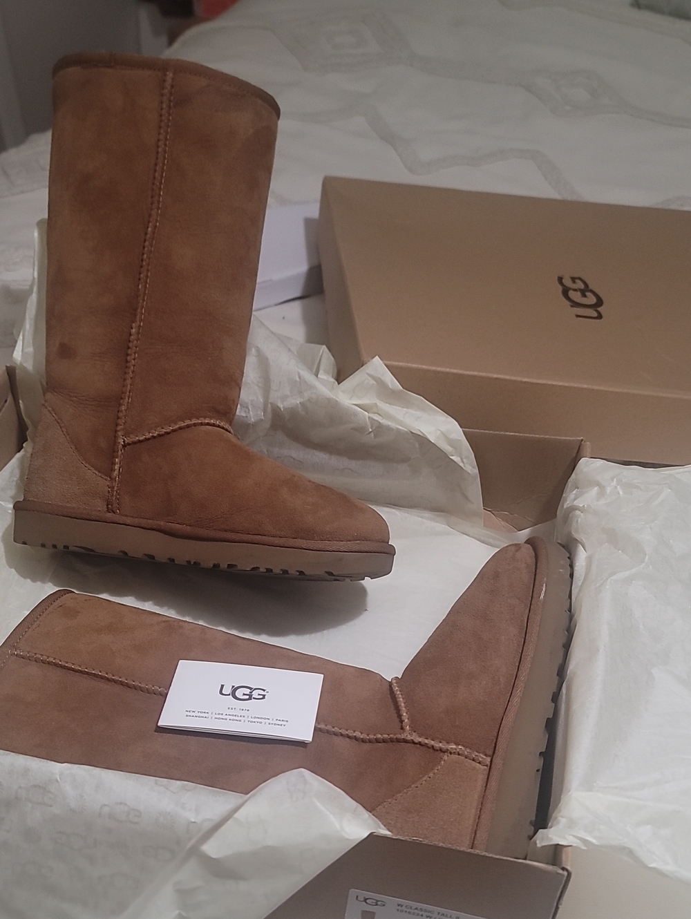 UGG Classic Tall Boot - Chestnut Brown Suede